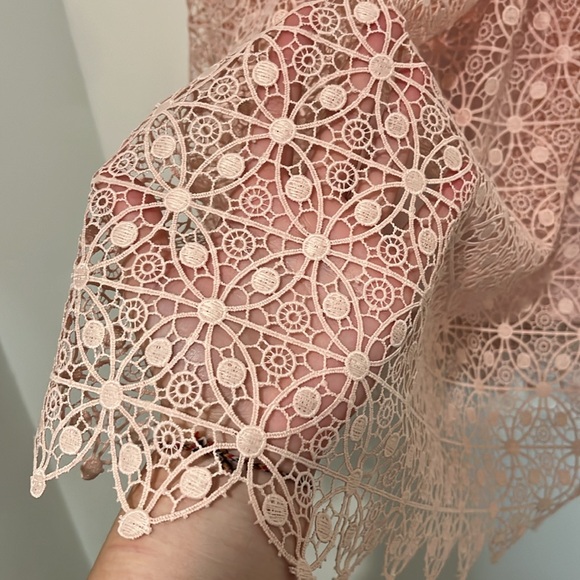 NWT Zac Posen Viola Lace Pink Salmon Dress - Picture 5 of 12